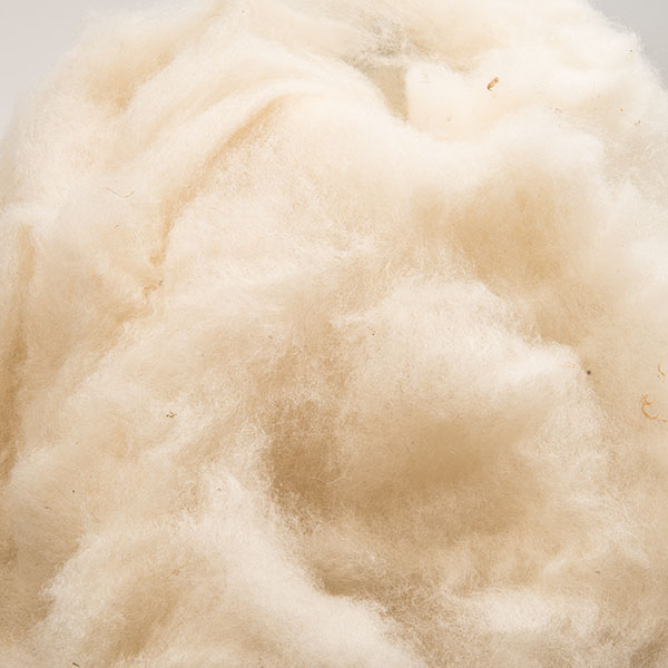 Lenya organic natural wool (greasy wool) 50g